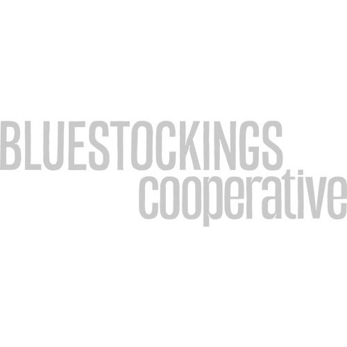 The word mark logo for Bluestockings Cooperative, a sponsor of Flame Con
